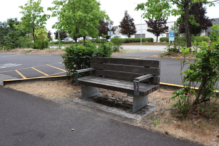Bench next to bus parking near trailhead